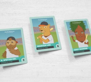 Get the Redwood All-Stars Baseball Cards