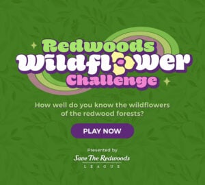 Redwoods Wildflower Quiz