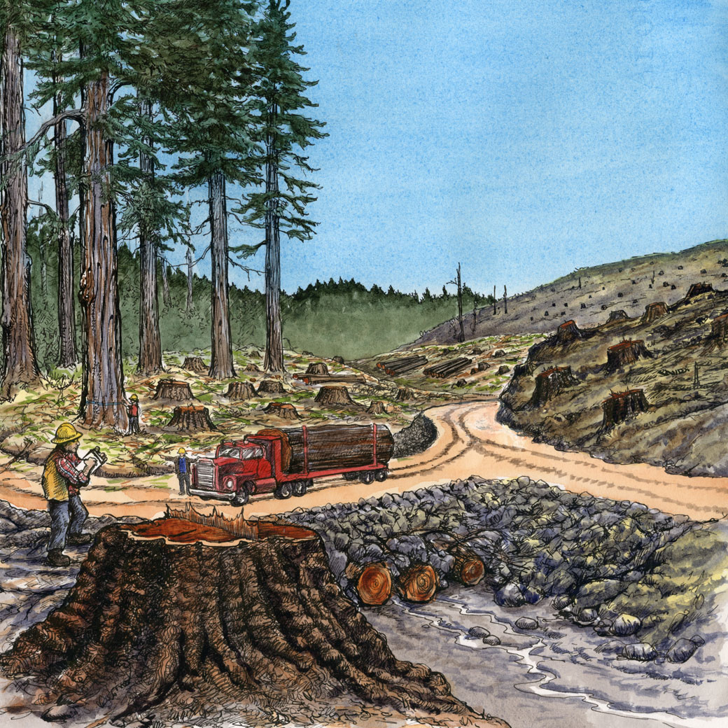logging drawings