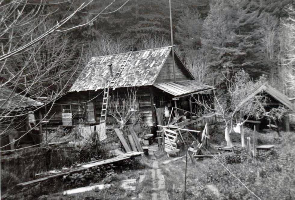 Spooky redwoods ghost town remains “a presence” | Save the Redwoods League