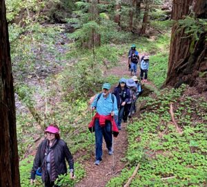 hike Archives Save the Redwoods League