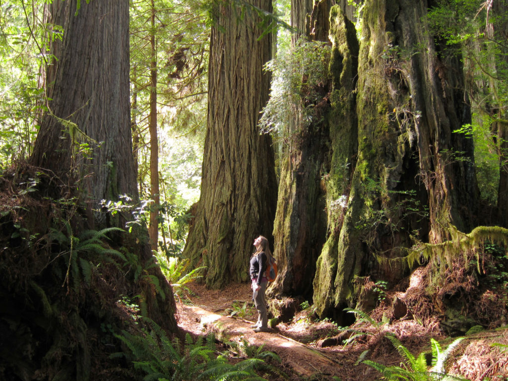 California State Parks Week will celebrate a vital legacy | Save the ...