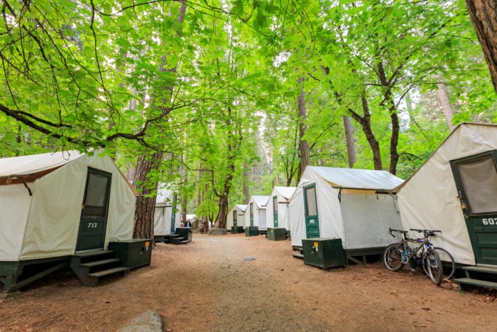 Rows of white canvas tent cabins under leafy green trees