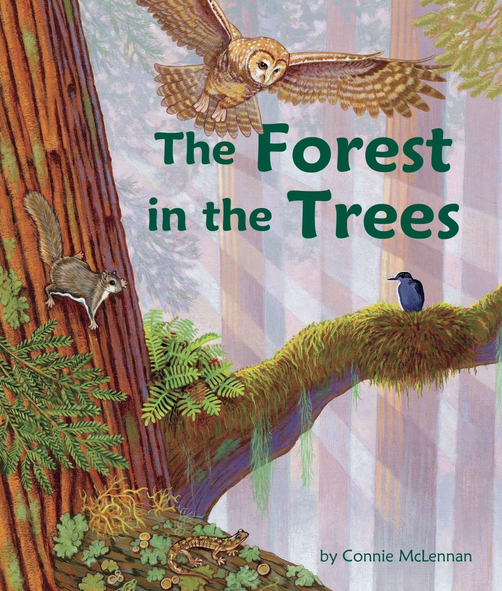 The Forest in the Trees A Children's Book about the Redwood Canopy