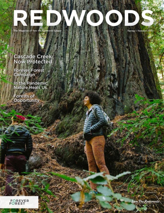 Redwoods Magazine Spring-Summer 2020 cover