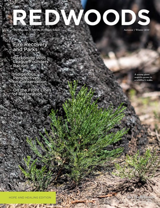 Redwoods Magazine Autumn-Winter 2020 cover