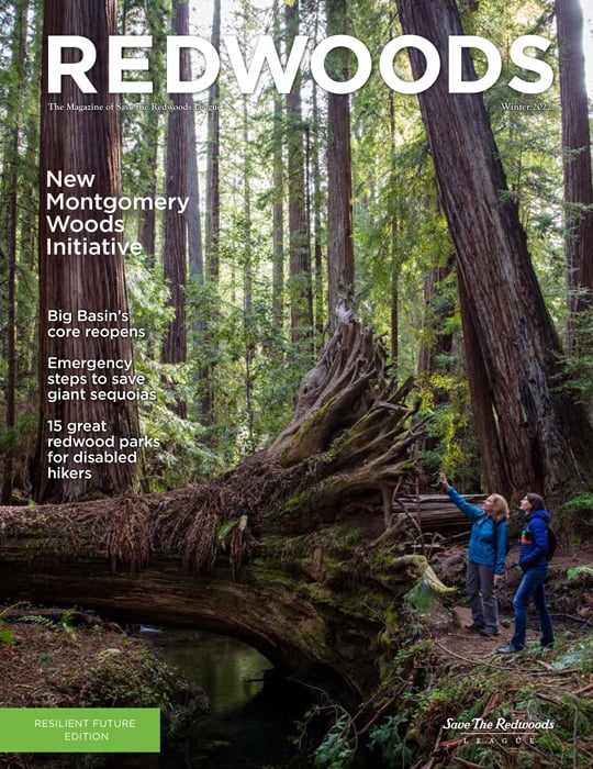 Redwoods Magazine Autumn-Winter 2022 cover