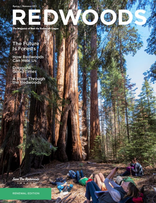 Redwoods Magazine Fall-Winter 2021 cover