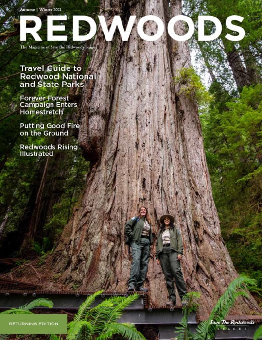 Redwoods Magazine Fall-Winter 2021 cover