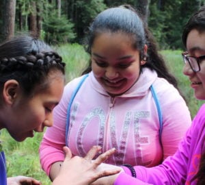 League grants help students discover the redwood forest through programs like Every Child Outdoors. Photo courtesy of Every Child Outdoors