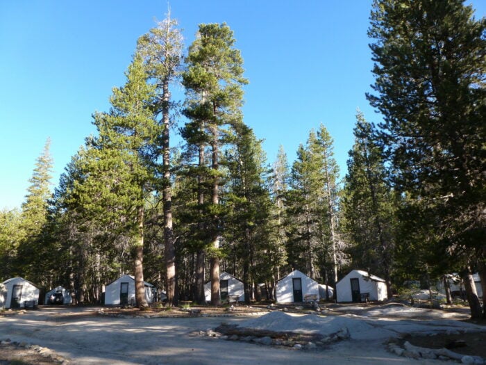 A group of white canvas tent cabins under tall trees in the distance