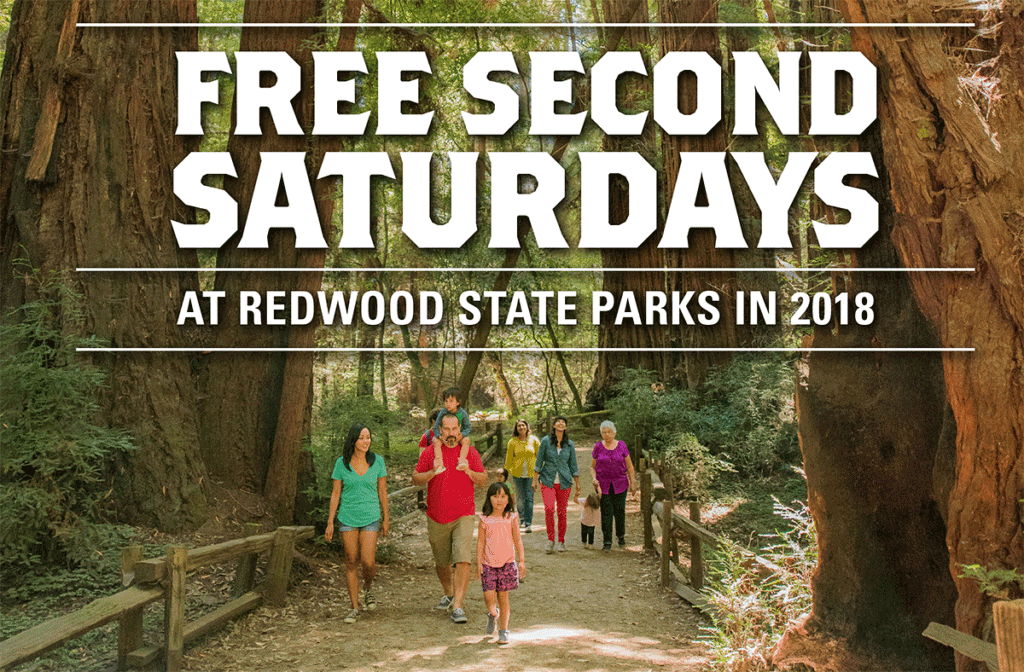 Save The Redwoods League To Provide Free Day Use Admission To Visitors