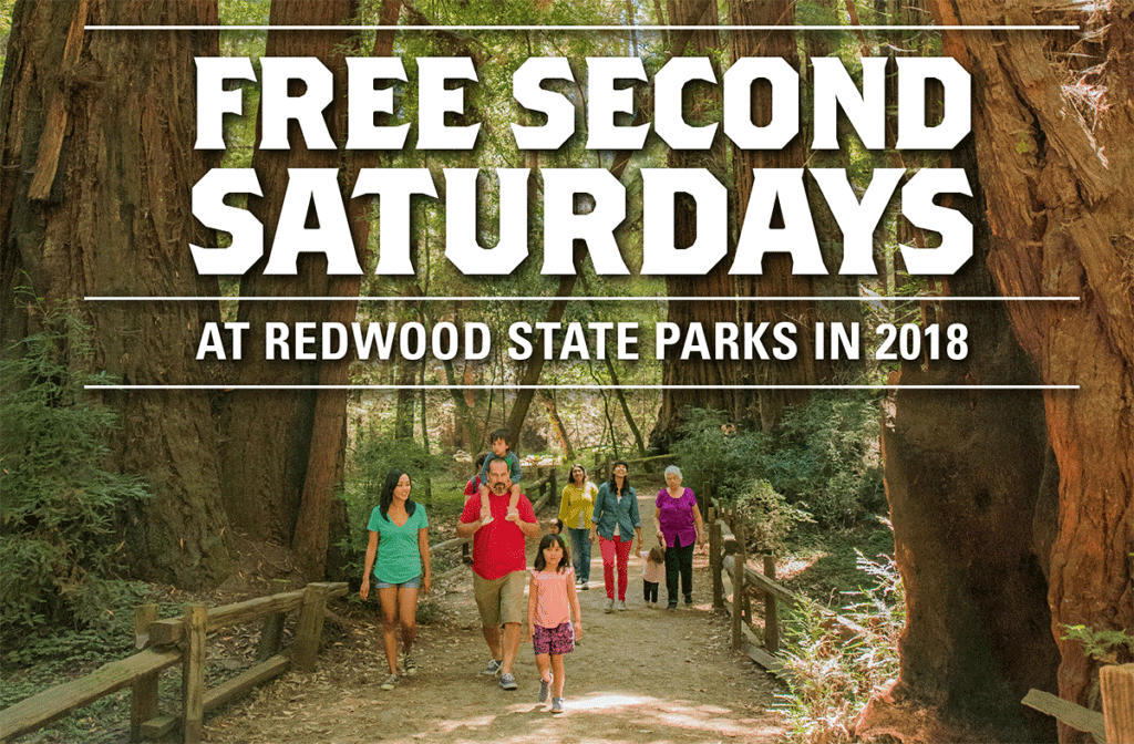 Save The Redwoods League To Provide Free Day-Use Admission To Visitors ...