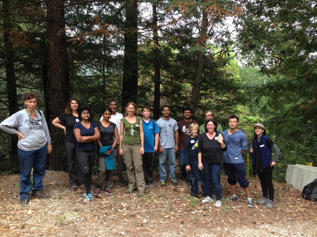 Oracle Employees Take to the Forest | Save the Redwoods League