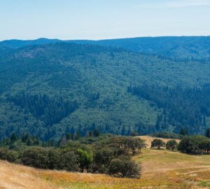 Home - Save The Redwoods League