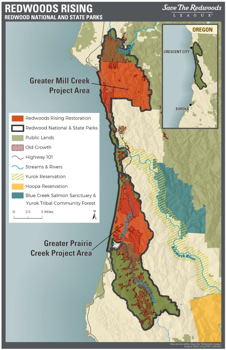 Map of Redwoods Rising project sites in Redwood National and State Parks
