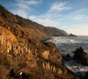 The rugged cliffs and rocky shores of the Lost Coast Redwoods property in Mendocino County. Save the Redwoods League recently secured an opportunity to protect the 3,100-acre Lost Coast Redwoods property with thousands of acres of coast redwoods and 5 miles of Northern California coastline. Photo by Max Whittaker, courtesy of Save the Redwoods League.