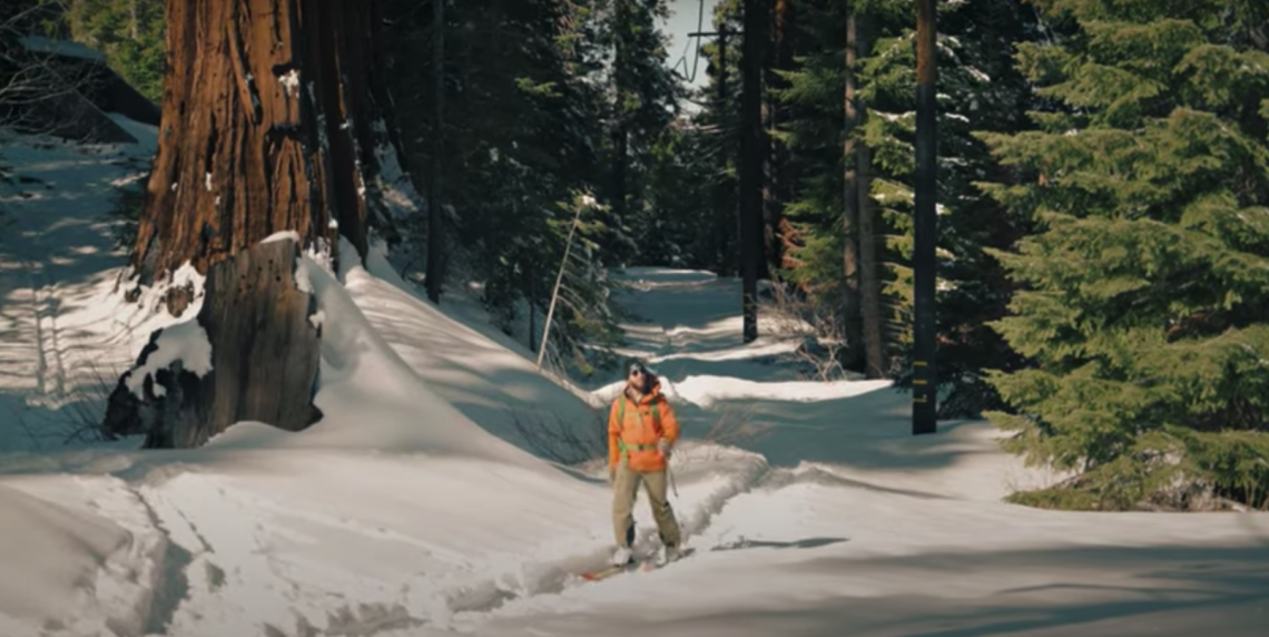 Video: Giant Sequoias Inspire Awe In A Changing Environment | Save The ...