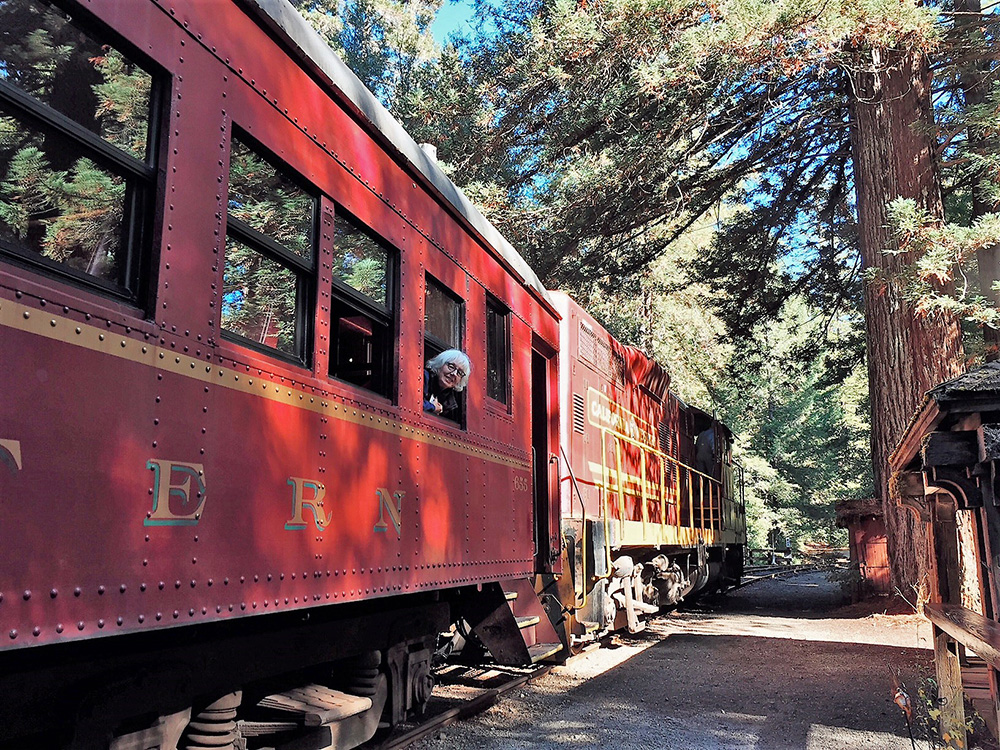 are dogs allowed on the skunk train