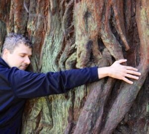 A man in a navy blue fleece hugs the trunk of a redwood tree