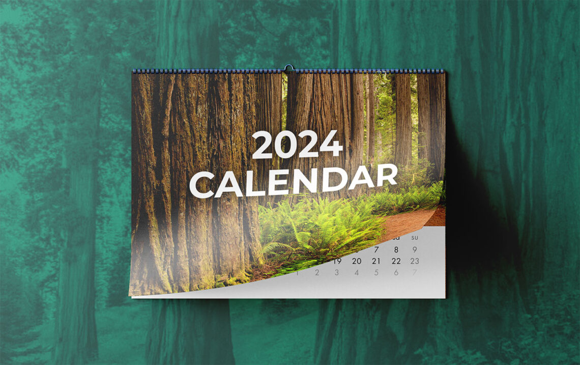 San Francisco Giants 2024 Box Calendar