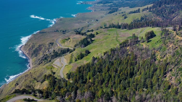 Aerial view of Sonoma Coast Redwoods