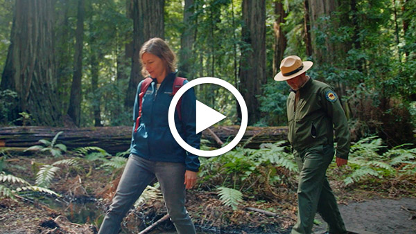 Montgomery Woods Initiative