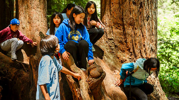 How Redwood Rides helps close the nature gap