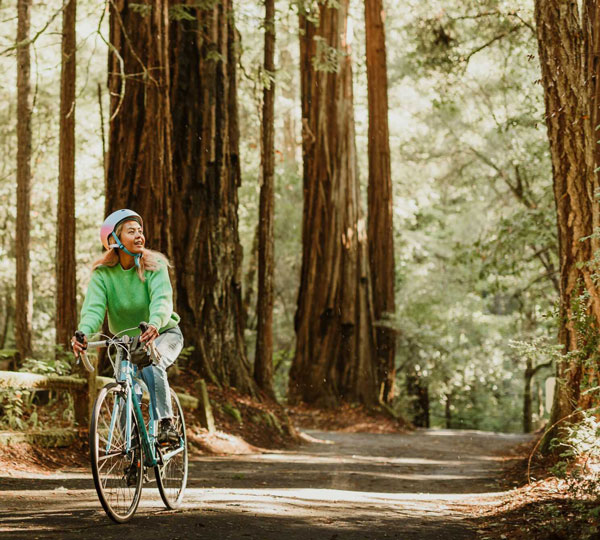 Why redwoods belong on your thank-you list