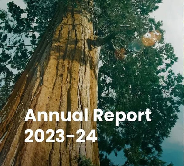 Celebrate your impact with our annual report