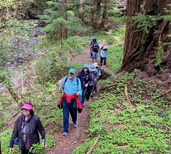 Redwood interpretive hikes expand worlds