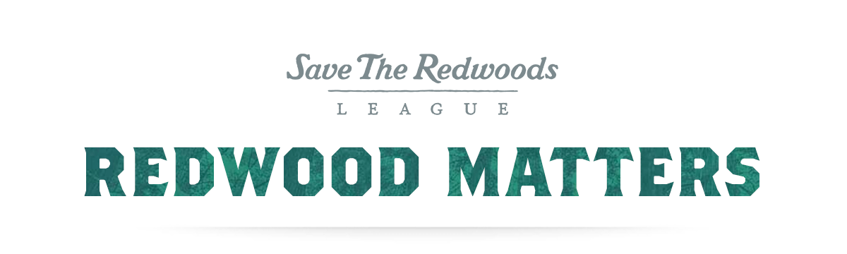 Redwoods Matters