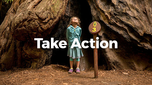 Take Action Now