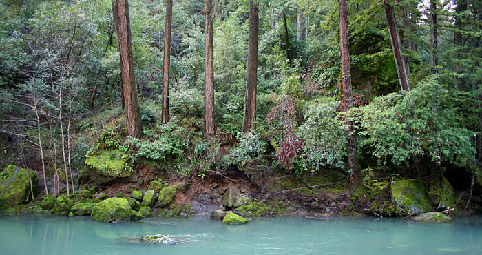 Escape to Redwood Bliss: Your Guide to Austin Creek State Recreation Area