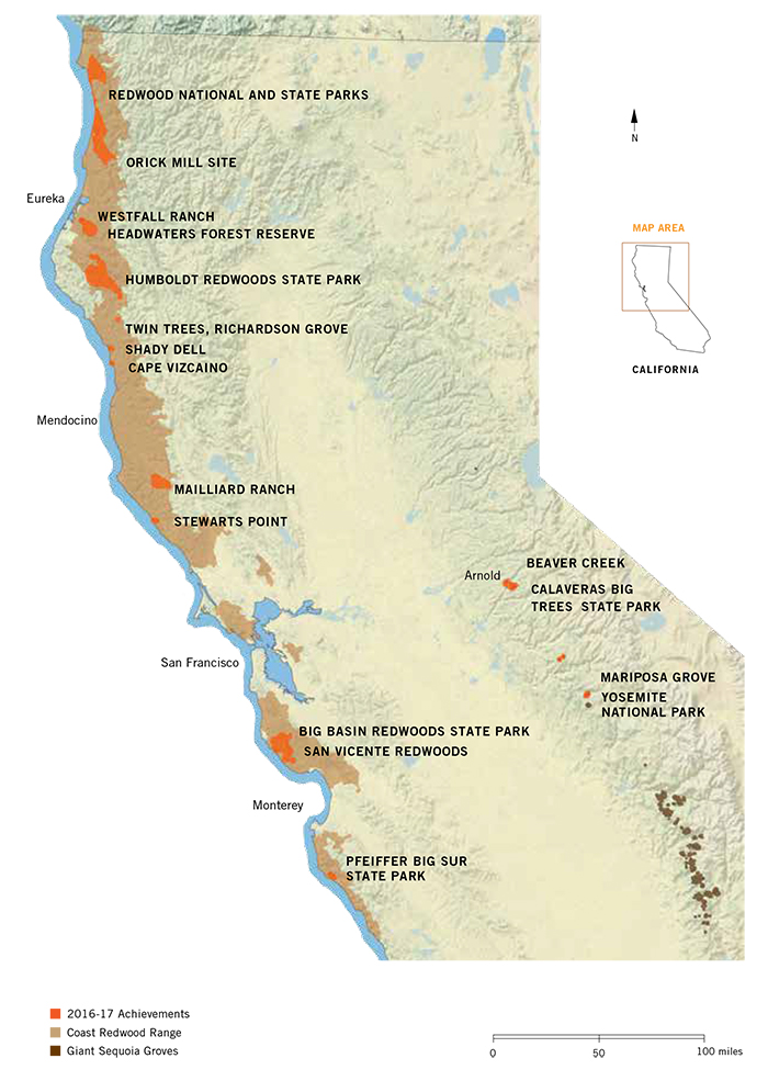 Our Impact | Save the Redwoods League