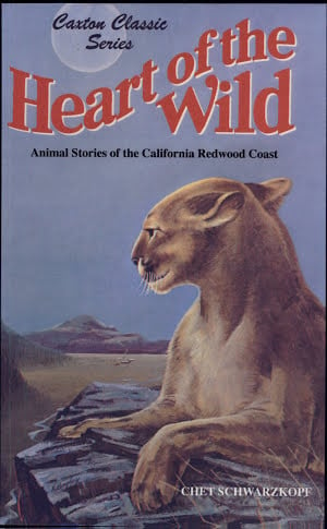 heart of the wild classic wow
