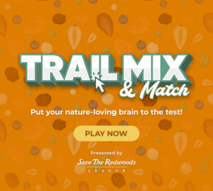 Ready to solve the Trail Mix & Match?