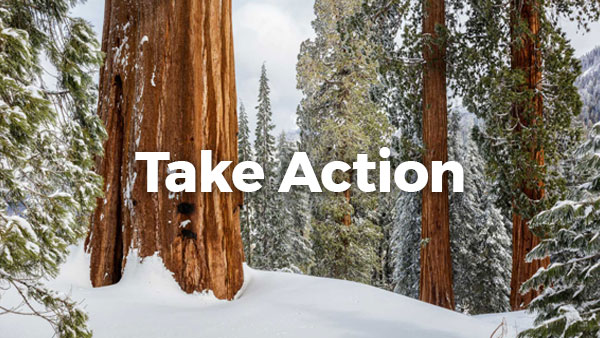 Take Action Now